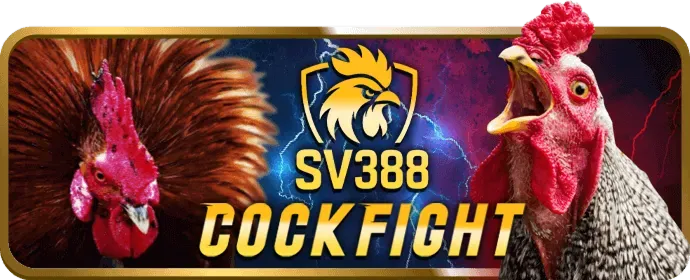 Cá cược thể thao W88VT